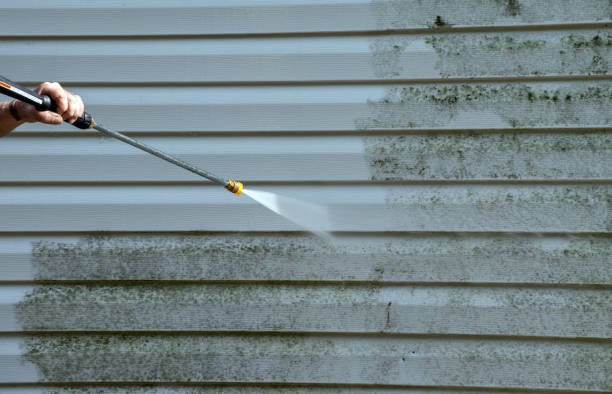 Best Mold Testing  in Terrace Heights, WA