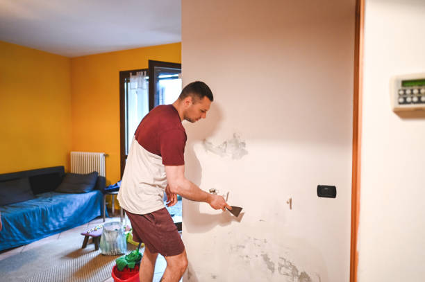Best Local Mold Removal Service  in Terrace Heights, WA